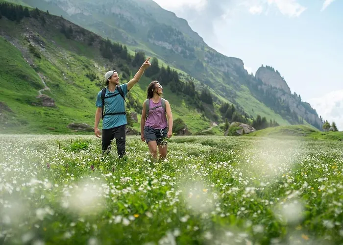 L'arolles - Spa, Calme & Vue Montagne Apartment
